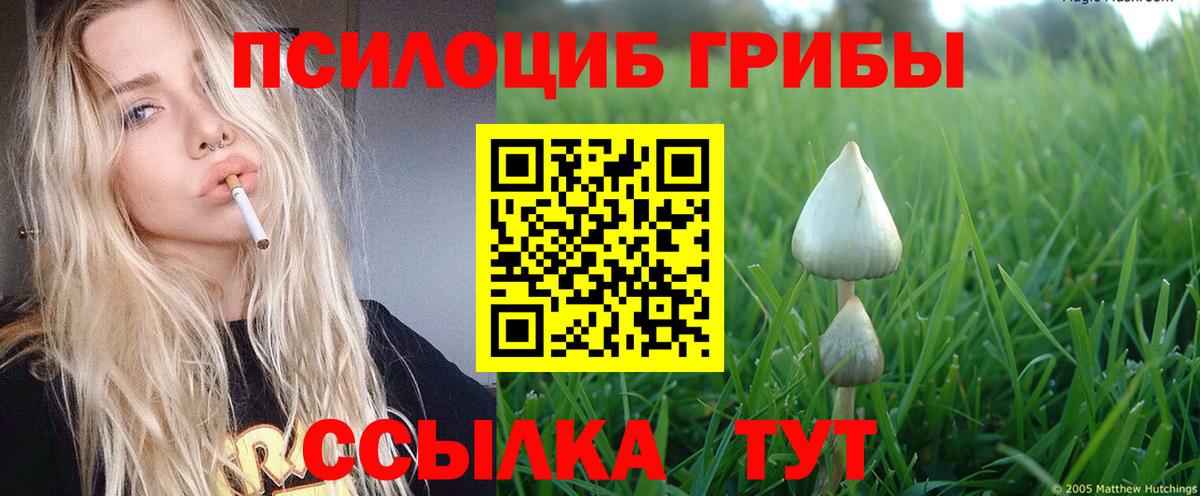 Псилоцибиновые грибы MAGIC MUSHROOMS Выборг