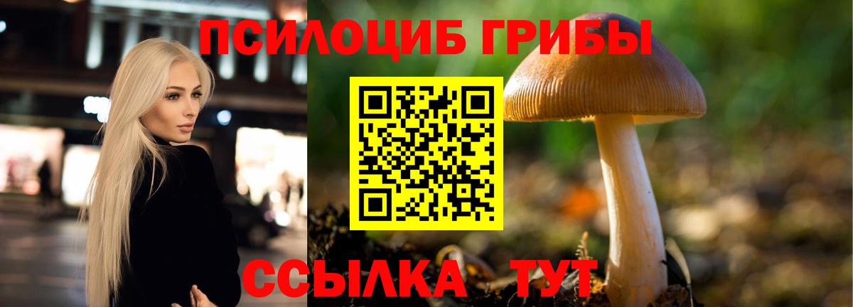 где можно купить наркотик  Галлюциногенные грибы ЛСД  Вход с VPN  Псилоцибиновые грибы Psilocybine cubensis  Выборг 